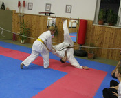 Aikido 2014